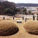 강릉군 김문취 묘갈 Daum카페