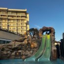 안경가족 이미지