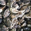 사니조아 이미지