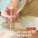 강동보건약국 | 둘째 시험관 준비 비용 과정 주사 부작용 시술 40대 병원 후기