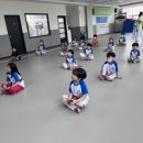 용인대 시선 태권도장 이미지