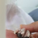 모란동물병원 이미지