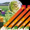 서민밥상 이미지