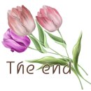 강원도 횡성군 횡성읍 태풍로 이미지