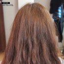 쓰리디헤어