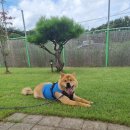 멍스퀘어 이미지