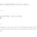 보나빼띠 네이버블로그