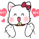 세르크 뷰티라인 네이버블로그