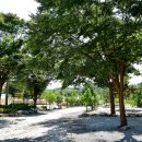 백운계곡캠핑장 이미지