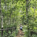 소백산비비 이미지