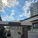 용문 애견 | 양평 용문역 일구팔팔(1988)서울근교여행 촌캉스 추천, 숙박후기 애견동반가능 숙소