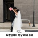 옥상빛 | 부겐빌리아 옥상씬 후기 | 흐린 날 찍었는데 이게 더 잘나온거 실화?