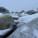 시민로457번길 | 용달 서비스의 이해와 활용 방법