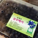 안호농장 이미지