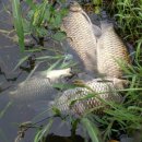 대요낚시터 이미지