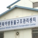 대학동물병원 이미지