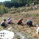 산골나들이 이미지