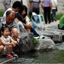 Peeling Back Pavement to Expose Watery Havens 이미지