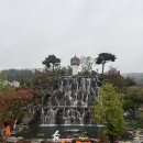 온 가족이 즐기는 「숲속음악소풍」 | 용인 자작나무숲 속 카페 &#34;베툴라 베이커리&#34;