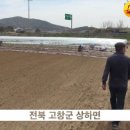 손진국 | 고추농사에 모두싹 4종 복합 세트 적용한 후기 공개!