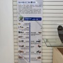 국립관세박물관 이미지