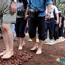 호텔농심 이미지