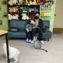 요술곰 동물원 이미지
