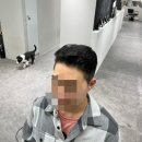마리애견미용실 이미지