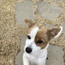 홀리독풀빌라 이미지