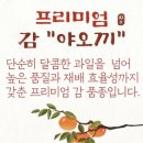 달콤과일나무