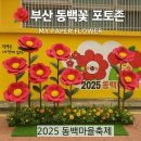 동백꽃마을 | 🌺 부산 동백꽃 포토존 설치 현장