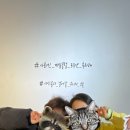 (주)스텝씨 이미지