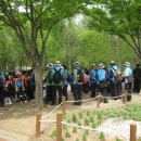 청도초등학교 4학년 숲체험학습 모습 이미지