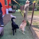 멍스 컨테이너 이미지