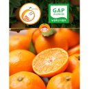 제주머무리 이미지