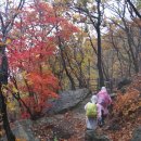 소현초등학교 이미지