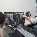 더힐동물의료센터 이미지