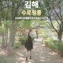 양지로261-35 | 곳 총정리 공식 주차장 없어요 카페 주차장 대신 야무지게 주차하고 부산 근교 산책하고 힐링한 후기
