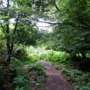 화순해안로 이미지