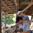 향림목장 이미지