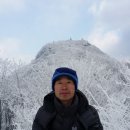 비로봉막걸리 Daum카페