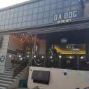 도그 인 시티 이미지