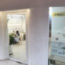 플라워마리포사