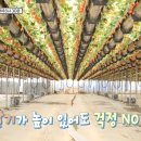 은우농장 이미지