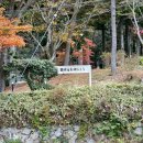 정동국제여행사 | <해외> 일본 오사카 패키지(참좋은여행) 모녀끼리 2박3일 해외여행 1일차 :: 고베 롯코산 / 하버랜드...