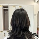 헤어 온 이미지