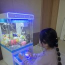 인형뽑기입니다만... | 내돈내산 가정용 인형뽑기 기계 구매 후기 ㅎㅎ