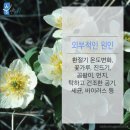 편한세상한의원 이미지