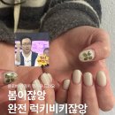 네일오운페이스