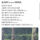 제몽